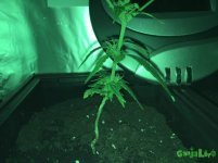 IMG_2016-11-09 00:08:54.jpg