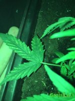 IMG_2016-11-09 00:08:27.jpg