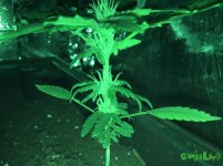 IMG_2016-11-09 00:09:10.jpg