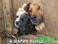 FB_IMG_1478614570434.jpg