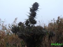 октябрь 1.jpg