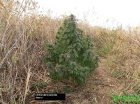 ГАНЕШ 6 ОКТЯБРЯ.jpg