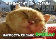 FB_IMG_1478776560363.jpg