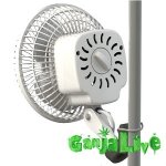 monkey-fan-secret-jardin.jpg