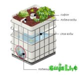 aquaponics_dzagi_2.jpg