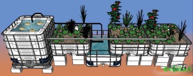 aquaponics_dzagi_5 (1).jpg