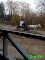 IMG_20161104_114025.jpg