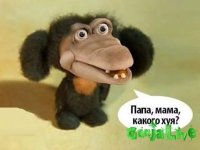 FB_IMG_1480046633756.jpg