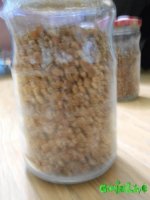DSCN4977.JPG