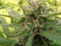 9 октября ак.jpg