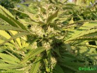 9 октября ак-47.jpg