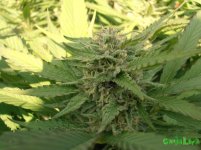 9 октября.jpg