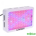 ампа.jpg