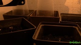 IMG_0610.JPG