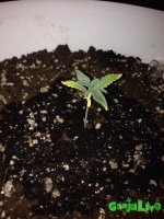 IMG_3933-21-12-16-04-41.jpeg
