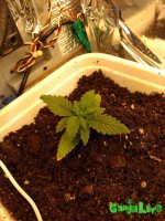 IMG_20161222_162804.jpg