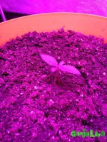 IMG_20161222_162714.jpg