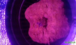 20161205_090651.jpg