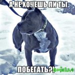 imageц3н.jpg