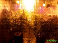 Вместе 10.12.16.jpg