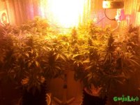 Вместе навсегда 18.12.16.jpg