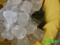 CIMG5220.JPG