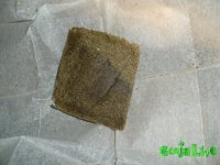 CIMG5239.JPG