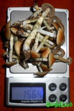 DSCN5317.JPG
