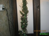 IMG_0884.JPG