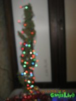 IMG_0891.JPG