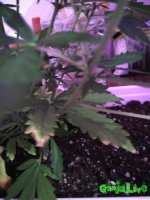 IMG_20170112_202929.jpg