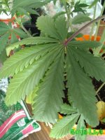 IMG_20170114_112005.jpg