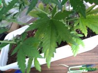 IMG_20170114_112107.jpg