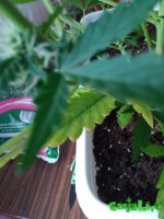 IMG_20170114_112118.jpg