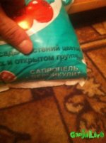 IMG_0920.JPG
