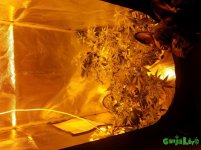 20170115_164421 (2).jpg