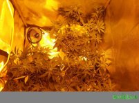 20170115_164413 (2).jpg