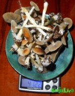 DSCN5374.JPG