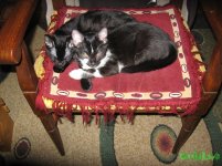IMG_0005.JPG