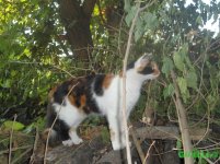 DSC06905.JPG