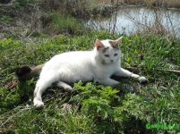 DSC07736.JPG