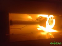 20170122_195534.jpg