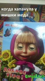 9134273.jpg