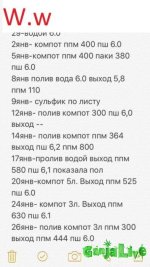вв.jpg