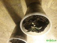 20170130_103426.jpg
