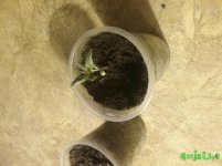 20170130_103415.jpg