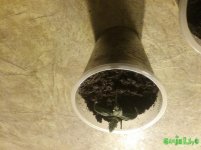20170130_103434.jpg