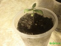 20170130_103451.jpg