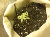 20170204_141709.jpg