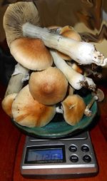 DSCN5392.JPG